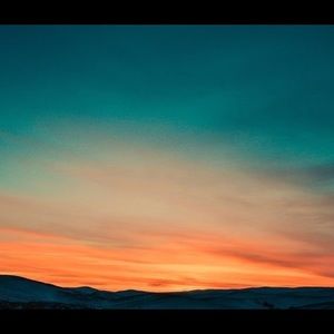 Meet your Posher, Lydia